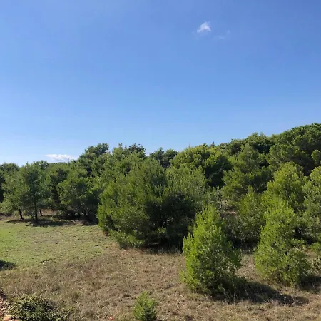 Apartment Marina Vir